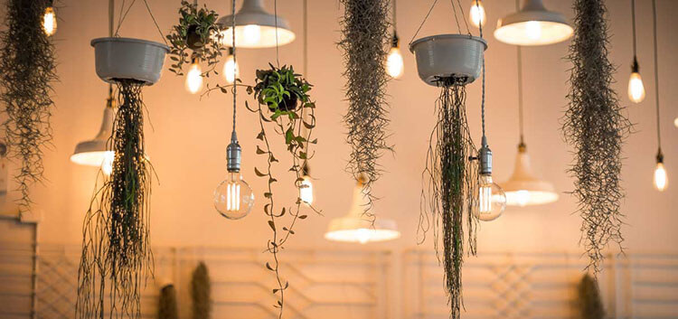 Luces LED-2