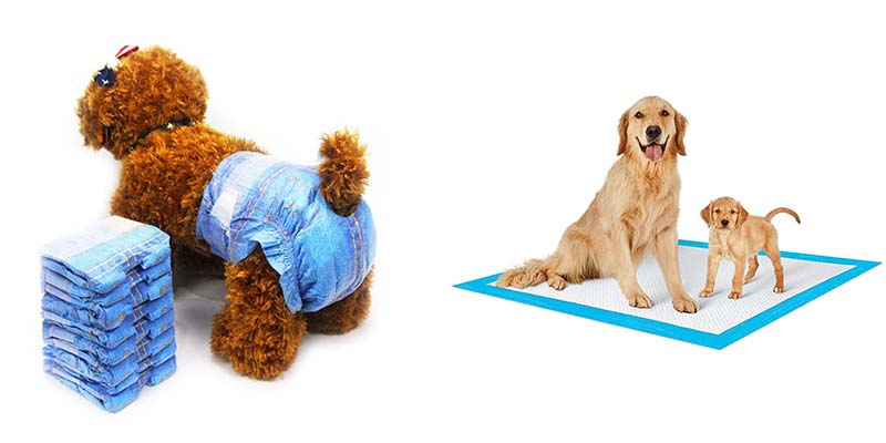pañal para mascotas cojín para mascotas
